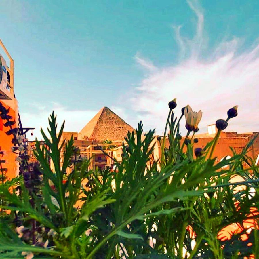 Carpet Alaadein Pyramids View Hotel Kafrat al Jabal Ngoại thất bức ảnh